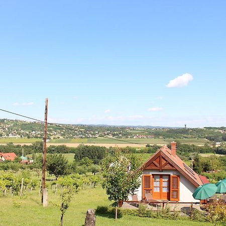 Panorama Wine & Chill Apartman Hévíz Kültér fotó