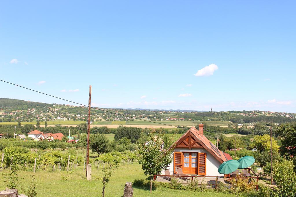 Panorama Wine & Chill Apartman Hévíz Kültér fotó
